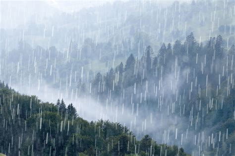 下雨的图片|超过 20000 张关于“雨实拍”和“雨”的免费图片